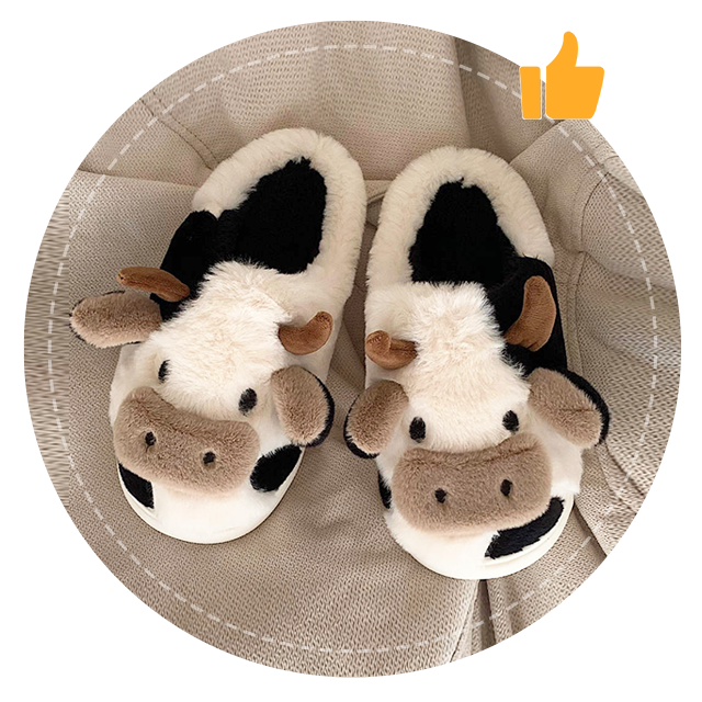 Winter Slippers