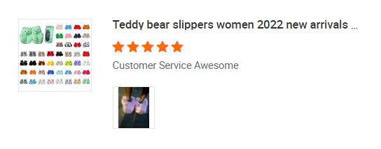 winter teddy bear slippers