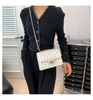 New Fashion Female Shoulder Bag Embroidered Solid Color Chain Women's Crossbody Casual Trendy Bag