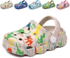 Kids Clogs Boys Girls Toddler Dinosaur Slip on Slide Garden Shoes Cartoon Beach Pool Kids Clog Sandals Slippers Water Clogs