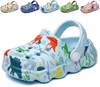 Kids Clogs Boys Girls Toddler Dinosaur Slip on Slide Garden Shoes Cartoon Beach Pool Kids Clog Sandals Slippers Water Clogs